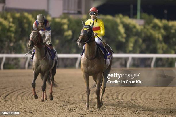 Jockey Yutaka Take riding Copano Rickey wins the Teio Sho at Ohi Racecourse in Tokyo, Japan on June 29, 2016. This race began in 1978 as a spring...