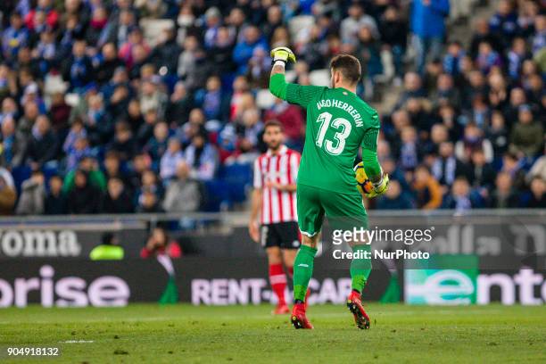 Athletic Club goalkeeper Iago Herrerin during the match between RCD Espanyol vs Athletic de Bilbao, for the round 19 of the Liga Santander, played at...