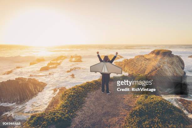 garçon d’affaires avec jet pack en californie - parc d'état de montana de oro photos et images de collection