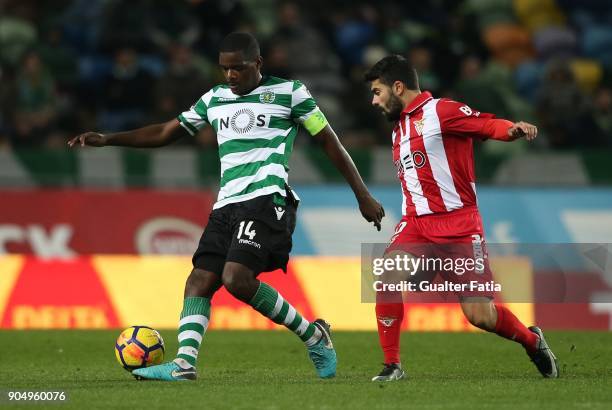 Sporting CP midfielder William Carvalho from Portugal with CD Aves forward Paulo Machado from Portugal in action during the Primeira Liga match...