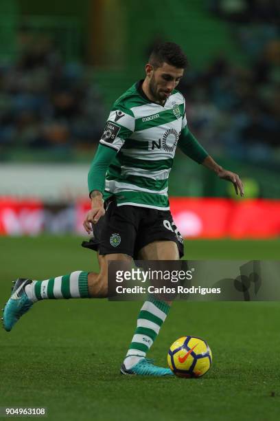 January 14: Sporting CP defender Cristiano Piccini from Italy during the Portuguese Primeira Liga match between Sporting CP and GD Chaves at Estadio...