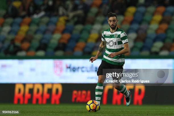 January 14: Sporting CP midfielder Bruno Fernandes from Portugal during the Portuguese Primeira Liga match between Sporting CP and GD Chaves at...