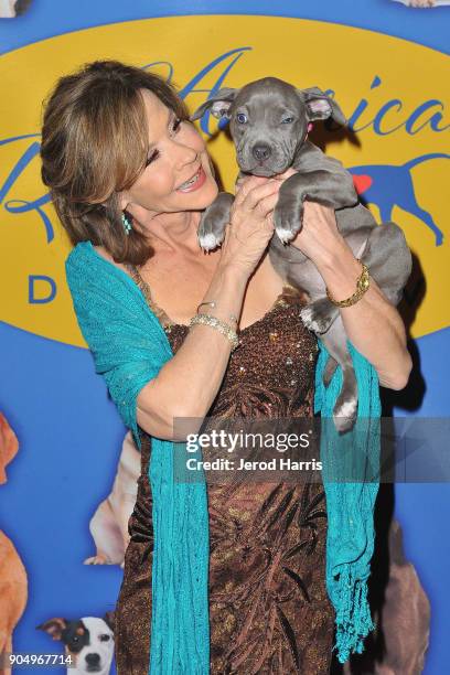 Actress Linda Blair attends the 2018 American Rescue Dog Show at Pomona Fairplex on January 14, 2018 in Pomona, California.