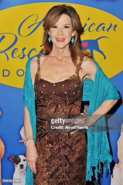 Actress Linda Blair attends the 2018 American Rescue Dog Show at Pomona Fairplex on January 14, 2018 in Pomona, California.