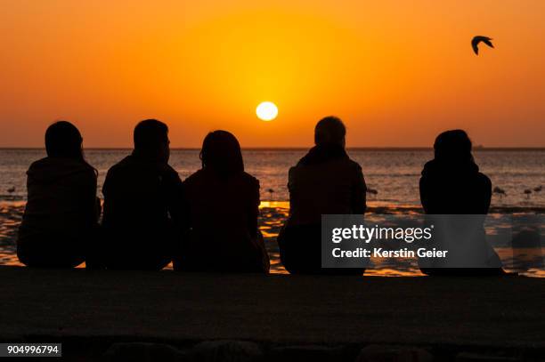 sunset silhouette of people watching ocean, flamingos and sun going down. swakopmund, namibia - swakopmund stock pictures, royalty-free photos & images