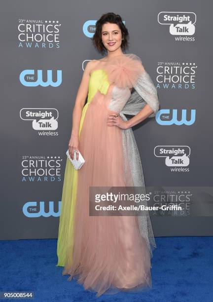 Actress Mary Elizabeth Winstead attends the 23rd Annual Critics' Choice Awards at Barker Hangar on January 11, 2018 in Santa Monica, California.