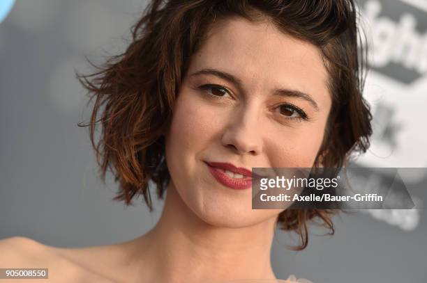Actress Mary Elizabeth Winstead attends the 23rd Annual Critics' Choice Awards at Barker Hangar on January 11, 2018 in Santa Monica, California.