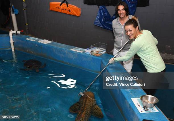 Tatjana Maria of Germany is seen feeding a shark at the Sea Life Melbourne Aquarium during Day one of the 2018 Australian Open at Melbourne Park on...