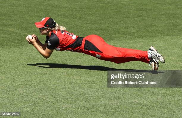 Maitlin Brown of the Renegades takes a catch to dismiss Nicola Hancock of the Hurricanes during the Women's Big Bash League match between the Hobart...