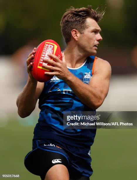 Shaun Higgins of the Kangaroos in action during a North Melbourne Kangaroos Training Session at Arden Street Ground on January 15, 2018 in Melbourne,...