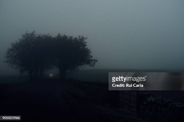 fog - rui caria stockfoto's en -beelden
