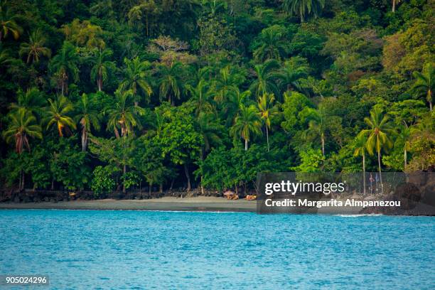 costa rica - biesanz beach - costa rica beach stock pictures, royalty-free photos & images