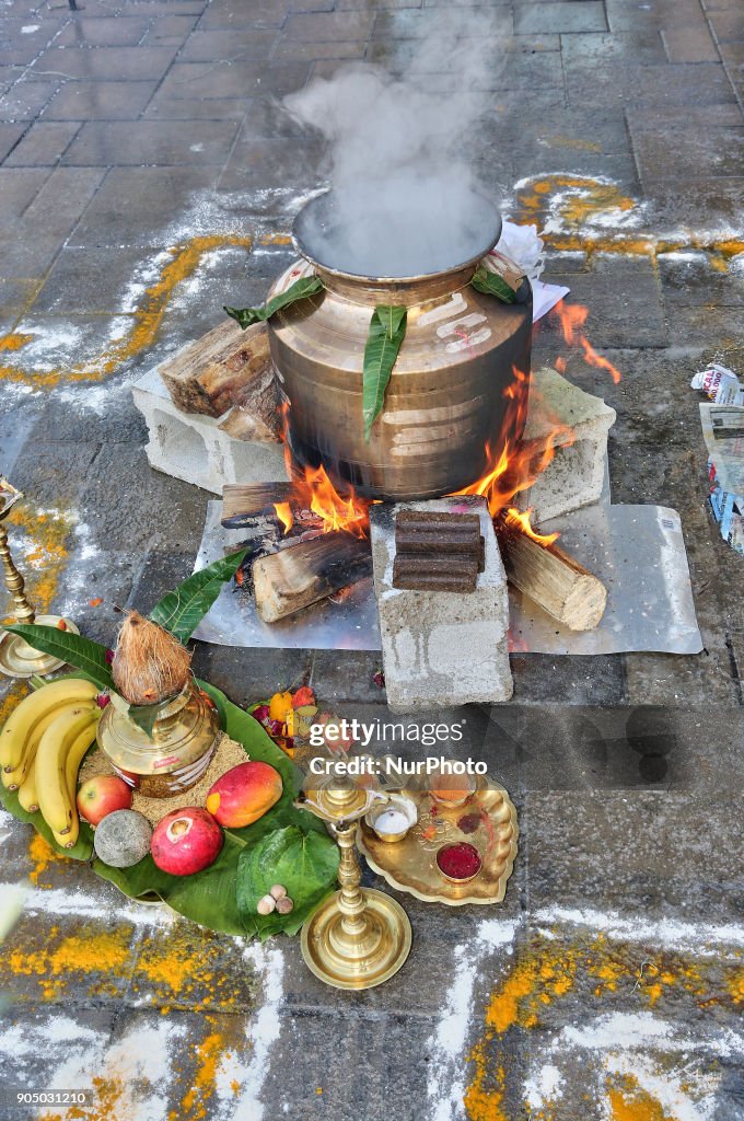 Thai Pongal Festival in Toronto