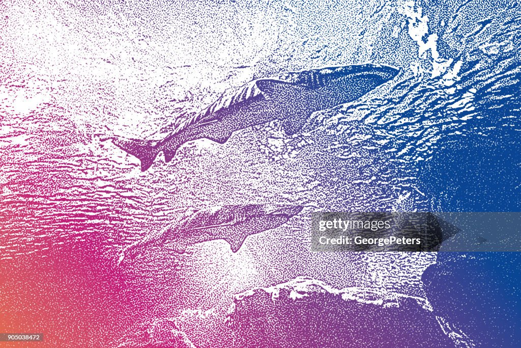 Tubarões nadando debaixo d'água acima de um recife de coral