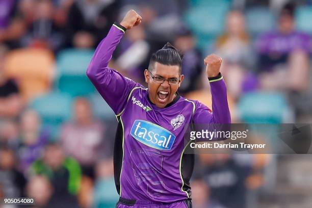 Clive Rose of the Hobart Hurricanes celebrates the wicket of Sam Heazlett of the Brisbane Heat during the Big Bash League match between the Hobart...