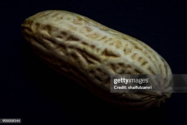 single peanut in dark-side mode - oily skin stock pictures, royalty-free photos & images