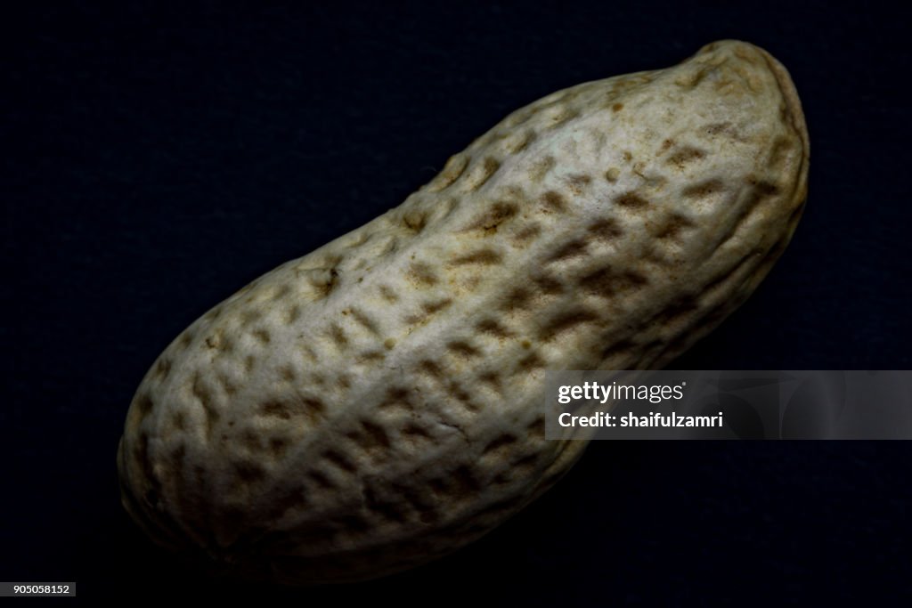 Single peanut in dark-side mode