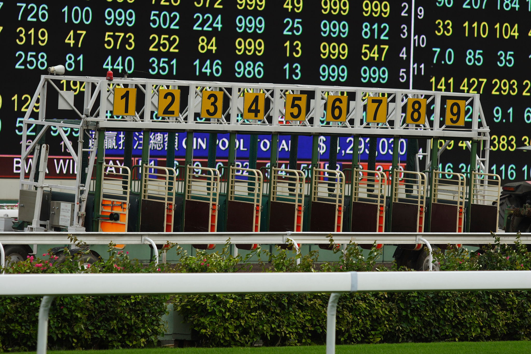 The Starting Gate The Starting Gate