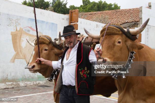 Traditional animal blessing during the San Antonio Abad Parish with Romeria and procession in Arona.