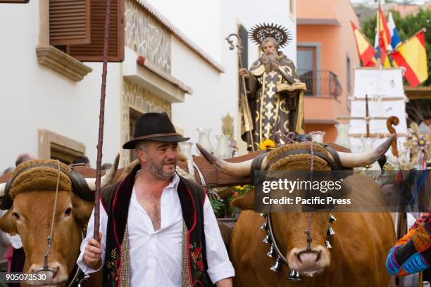 Traditional animal blessing during the San Antonio Abad Parish with Romeria and procession in Arona.