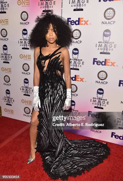 Singer Naitia 'Lil Mama' Kirkland attends the 49th NAACP Image Awards Non-Televised Award Show at The Pasadena Civic Auditorium on January 14, 2018...