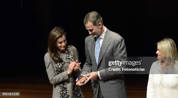 King Felipe of Spain and Queen Letizia of Spain attend Terrorism Victims Foundation Awards at Reina Sofia Museum on January 15, 2018 in Madrid, Spain.