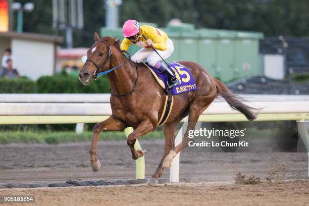 Copano Rickey 1,764 Jbc Stock Photos, High-Res Pictures, and Images - Getty Images
