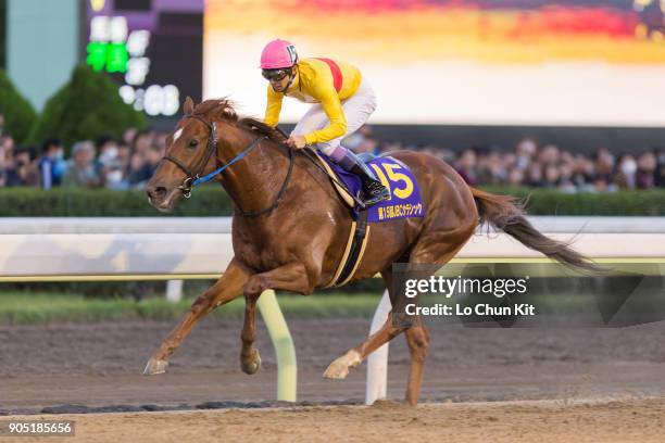Copano Rickey 1,764 Jbc Stock Photos, High-Res Pictures, and Images - Getty Images