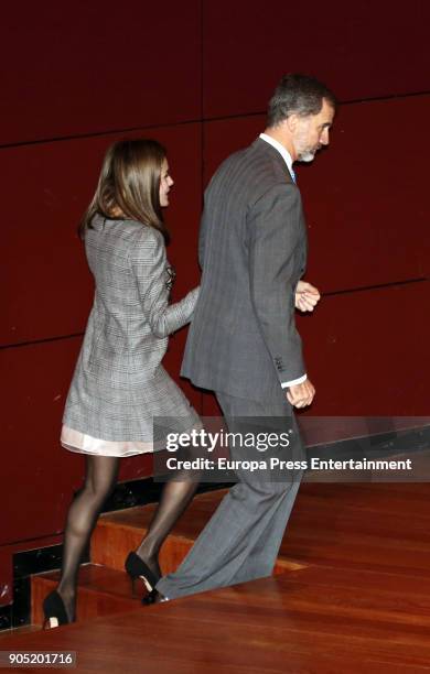 King Felipe of Spain, accompanied by Queen Letizia of Spain, receives Terrorism Victims Foundation Award at Reina Sofia Museum on January 15, 2018 in...