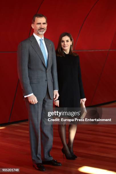 King Felipe of Spain, accompanied by Queen Letizia of Spain, receives Terrorism Victims Foundation Award at Reina Sofia Museum on January 15, 2018 in...