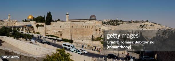 ophel archaeological park in jerusalem as seen from the jewish quarter - al aqsa stock pictures, royalty-free photos & images