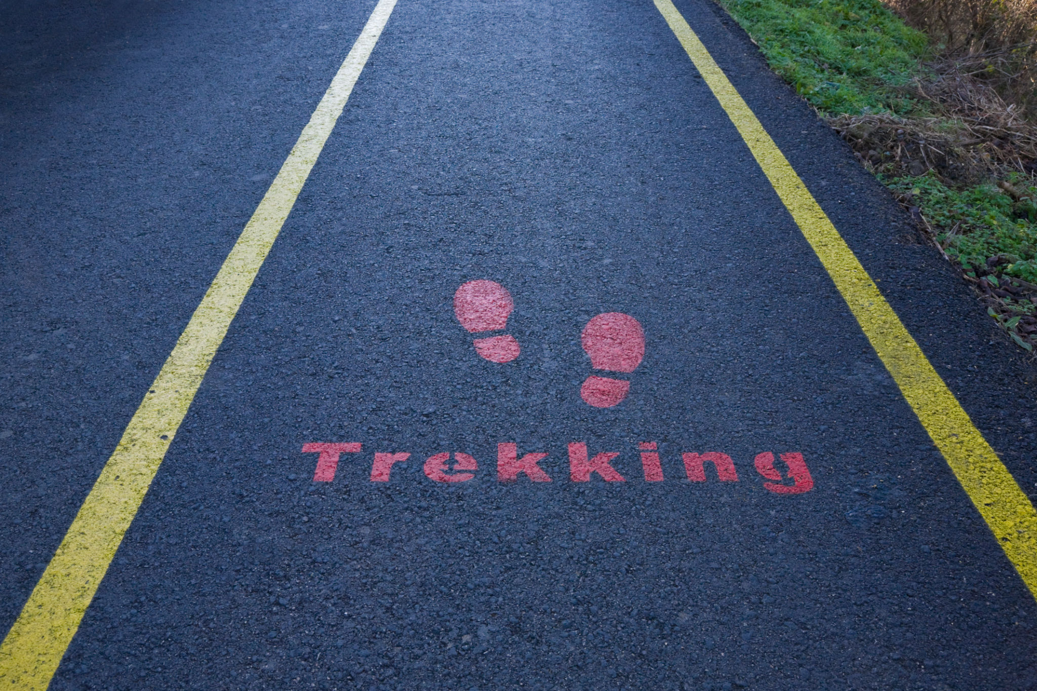skip tracing