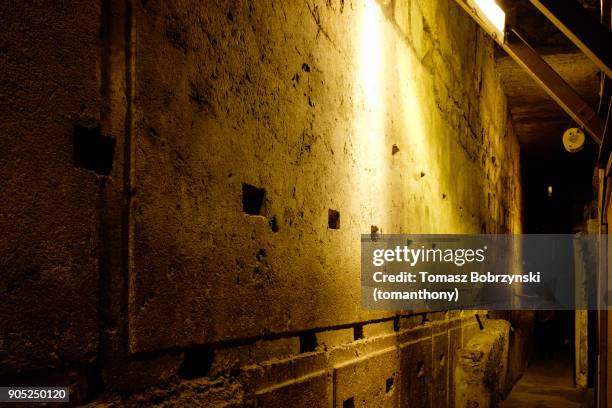 the largest stone in the western wall - herod the great stock pictures, royalty-free photos & images
