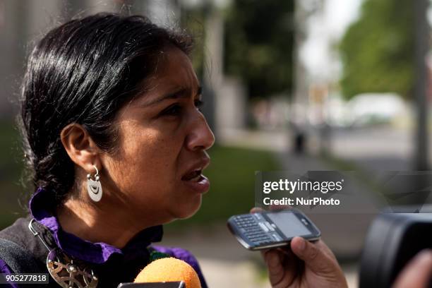 The spokeswoman of the Francisca Linconao Ingrid Conejeros speaks with the press in Temuco, Chile on 15 January 2018. The Machi Francisca Linconao...