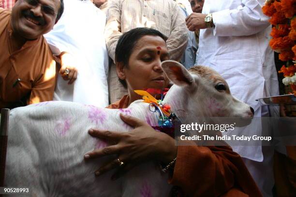 Uma Bharti, Chief Minister of Madhya Pradesh