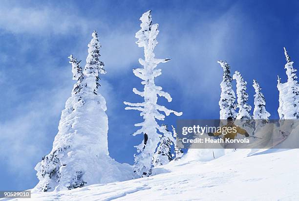 solo male doing some deep powder skiing in the montana backcountry. - whitefish montana stockfoto's en -beelden
