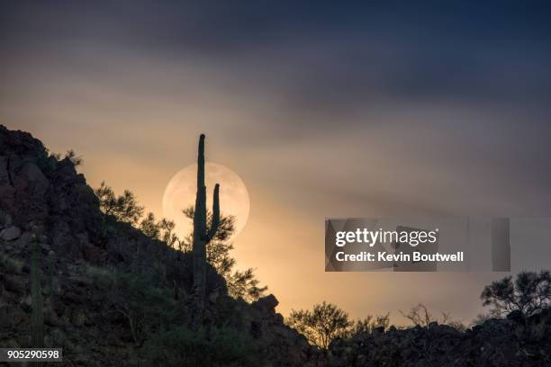 super moon and january 1, 2018 in phoenix, arizona - phoenix arizona desert stock pictures, royalty-free photos & images