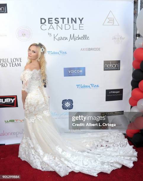 Model Terri McDonald at the Love Your Body! Fashion Show And Shopping Event held at Luxe Sunset Boulevard Hotel on November 19, 2017 in Beverly...