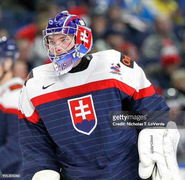 Roman Durny of Slovakia skates against Finland during the second period of play in the IIHF World Junior Championships at the KeyBank Center on...