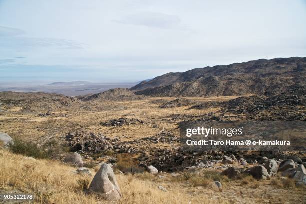 anza-borrego desert state park in california in usa - anza borrego wüstenpark stock-fotos und bilder