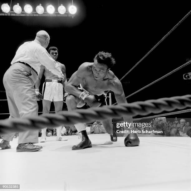 World Heavyweight Title: Cleveland Williams getting up from canvas after knockdown by Muhammad Ali at Astrodome. View of referee Harry Kessler....
