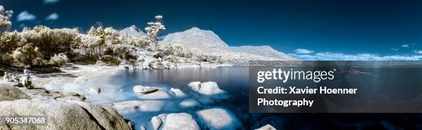 surreal honeymoon bay - coles bay stockfoto's en -beelden