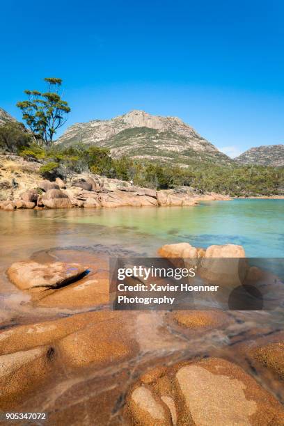 crystal clear water | freycinet national park - coles bay stockfoto's en -beelden