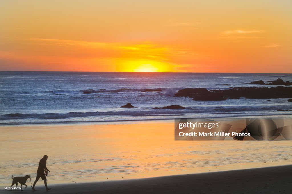 USA, California, Cayucos