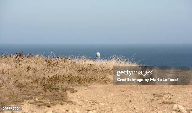 woman wearing knit hat looking at view of the pacific ocean - female looking away from camera serious thinking outside natural stock pictures, royalty-free photos & images