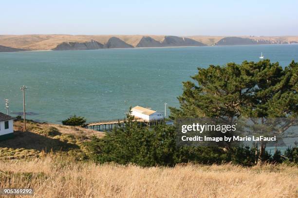 Inverness Rd Point Reyes 72 Inverness Cape Stock Photos, High-Res Pictures, and Images - Getty ...