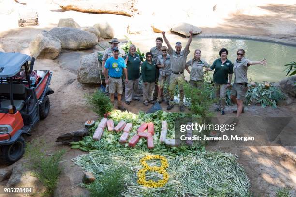 Keepers prepare a birthday treat to celebrate Mali's eighth birthday at Melbourne Zoo on January 16, 2018 in Melbourne, Australia. Mali was born on...