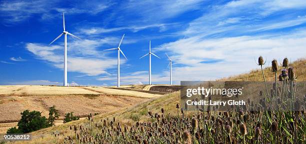 condon wind farm - oregon stock photos et images de collection