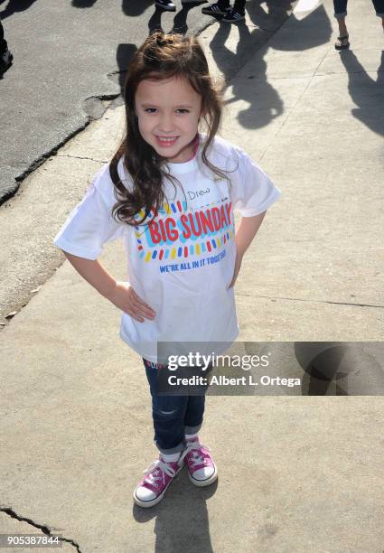 Actress Drew Gordon participates in the 6th Annual Martin Luther King Jr. Day Clothing Collection And Community Breakfast held on January 15, 2018 in...