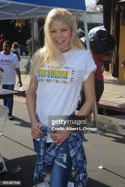 Actress/model Anne McDaniels participates in the 6th Annual Martin Luther King Jr. Day Clothing Collection And Community Breakfast held on January...